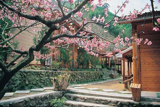Da Kuan Peach Farm Resort Hualing Extérieur photo