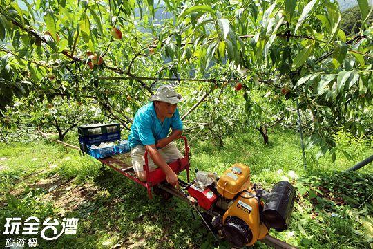 Da Kuan Peach Farm Resort Hualing Extérieur photo